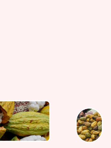 mobile-bg